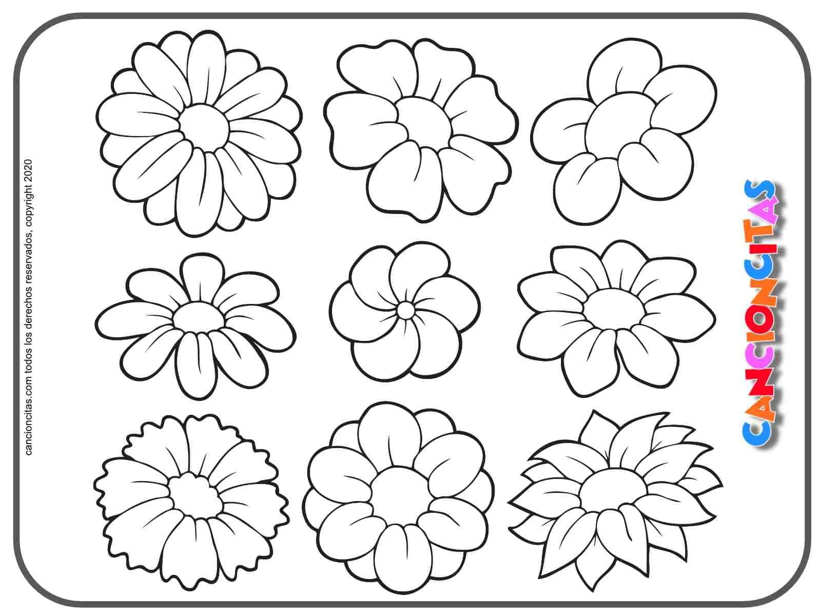 Tipos De Flores Dibujos Flores - Cancioncitas