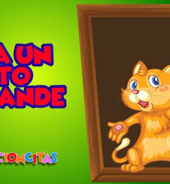 gato grande