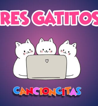 3 gatos